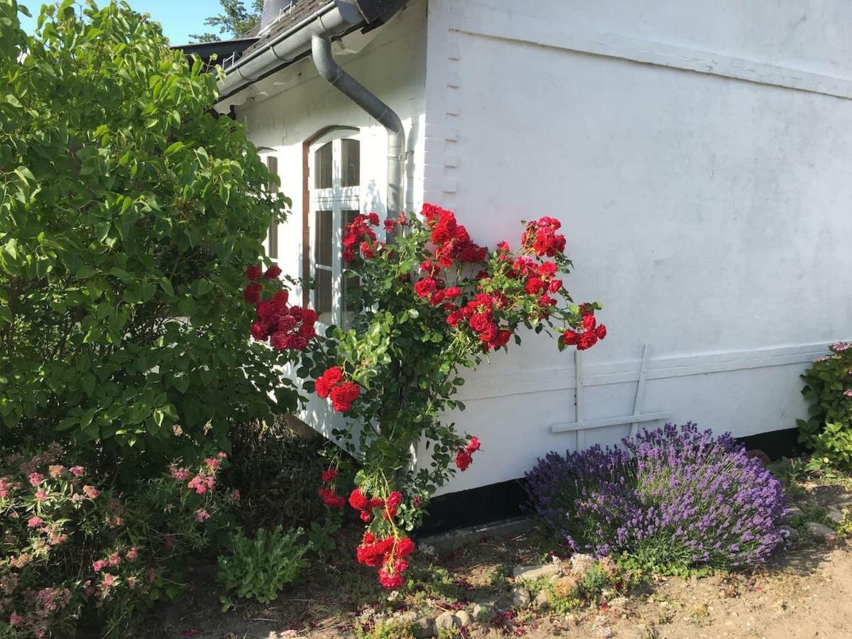 Kleines Bauernhaus Hotel Mogeltonder Exterior foto